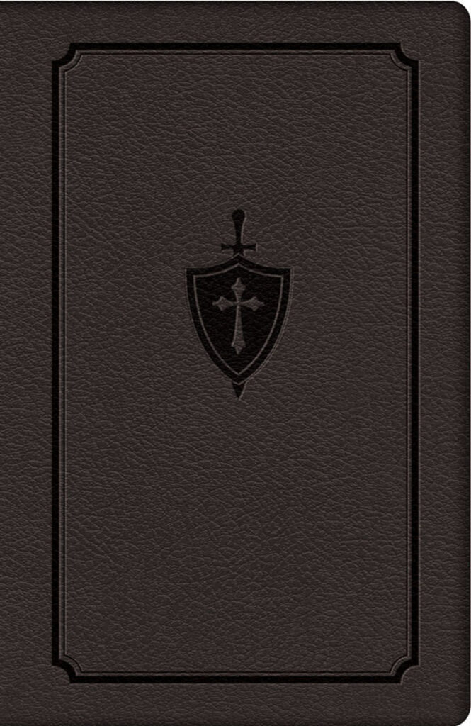 manual for conquering deadly sin