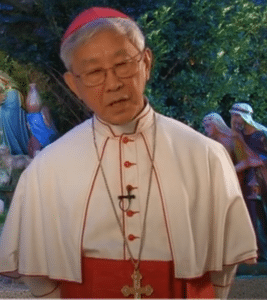 Cardinal Zen Arrested! Pray to Our Lady of China!
