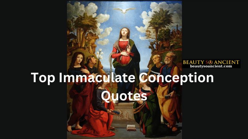 immaculate conception quotes